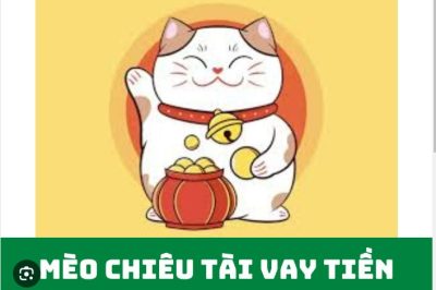 Mèo Chiêu Tài Vay Tiền Lừa đảo Bị Bắt 2024? (H5 App meochieutai)